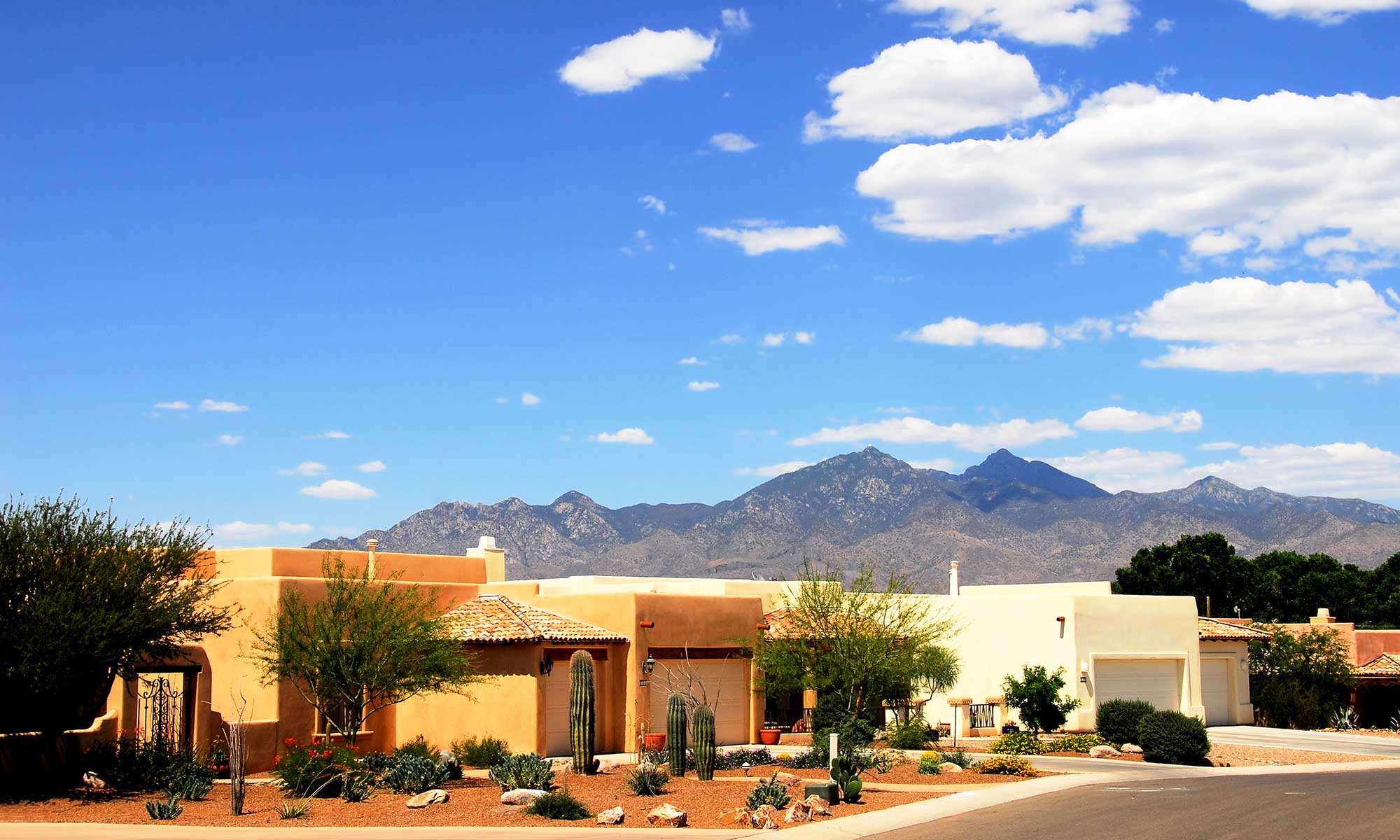 Phoenix property management